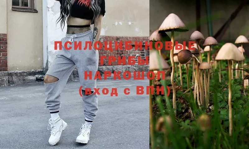 даркнет сайт  Североуральск  Галлюциногенные грибы Psilocybe 